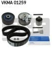 SKF VKMA01259 – EKSANTRIK GERGI KITI GOLF V JETTA III PASSAT OCTAVIA TOLEDO III LEON A3 2,0TDI 16V (BKP BMR BRE BKD)